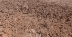 Fazenda à Venda 22.560 Hectares Pronta para Produção de Grão | Bonito de Minas /MG Fazenda à Venda 22.560 Hectares Pronta para Produção de Grão | Bonito de Minas /MG