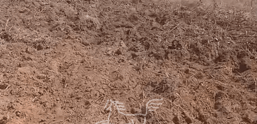 Fazenda à Venda 22.560 Hectares Pronta para Produção de Grão | Bonito de Minas /MG Fazenda à Venda 22.560 Hectares Pronta para Produção de Grão | Bonito de Minas /MG