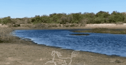 Fazenda à Venda 22.560 Hectares Pronta para Produção de Grão | Bonito de Minas /MG Fazenda à Venda 22.560 Hectares Pronta para Produção de Grão | Bonito de Minas /MG