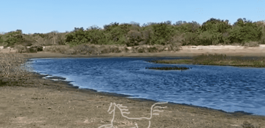 Fazenda à Venda 22.560 Hectares Pronta para Produção de Grão | Bonito de Minas /MG Fazenda à Venda 22.560 Hectares Pronta para Produção de Grão | Bonito de Minas /MG