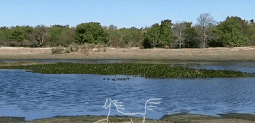 Fazenda à Venda 22.560 Hectares Pronta para Produção de Grão | Bonito de Minas /MG Fazenda à Venda 22.560 Hectares Pronta para Produção de Grão | Bonito de Minas /MG