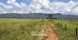 Fazenda à Venda  4.849 Hectares Dupla Aptidão Pecuária Elite | Formosa/ GO