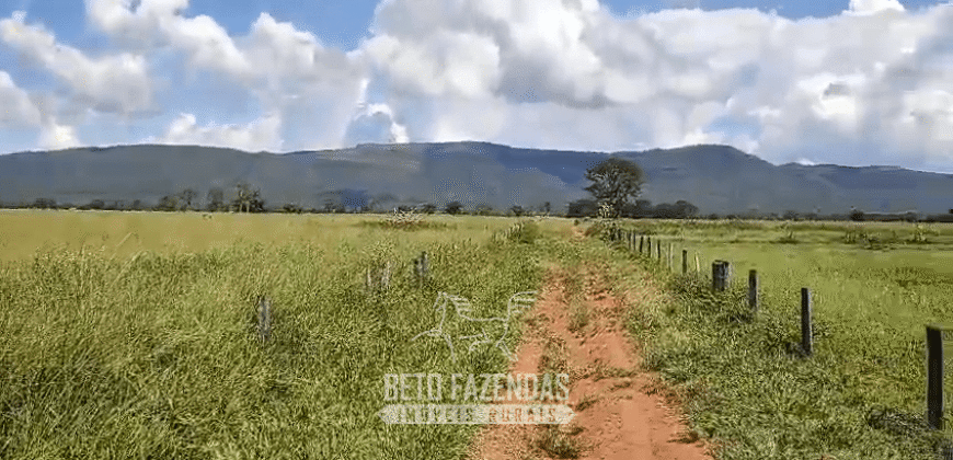 Fazenda à Venda  4.849 Hectares Dupla Aptidão Pecuária Elite | Formosa/ GO