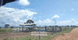Fazenda à Venda  4.849 Hectares Dupla Aptidão Pecuária Elite | Formosa/ GO