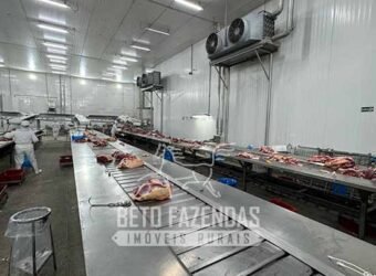 Frigorífico Bovino à Venda 736.454 m² Exportação Ativa para 25 Países | Região Sudeste