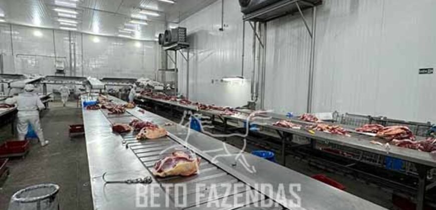 Frigorífico Bovino à Venda 736.454 m² Exportação Ativa para 25 Países | Região Sudeste