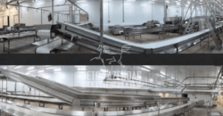 Frigorífico Bovino à Venda Habilitação Premium em Andamento | Mato Grosso do Sul Frigorífico Bovino à Venda Habilitação Premium em Andamento | Mato Grosso do Sul