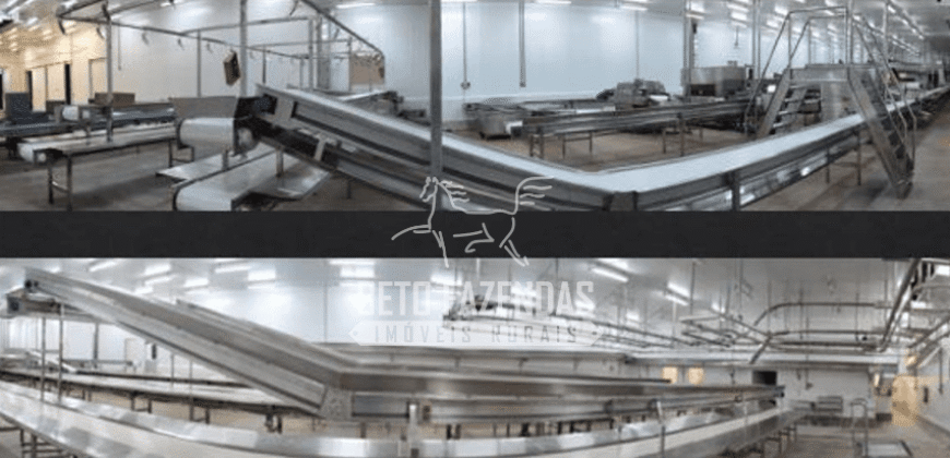 Frigorífico Bovino à Venda Habilitação Premium em Andamento | Mato Grosso do Sul Frigorífico Bovino à Venda Habilitação Premium em Andamento | Mato Grosso do Sul