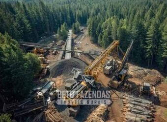 Fazenda de Pinus, Araucária e Eucalipto 3.199 Hectares Ativo Florestal para Industria e Crédito de carbono | Cambará do Sul/ RS