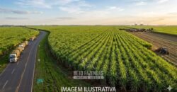 Fazenda de Cana à Venda 520 Alqueires Alta Perfomance em São Paulo