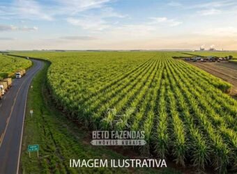 Fazenda de Cana à Venda 520 Alqueires Alta Perfomance em São Paulo