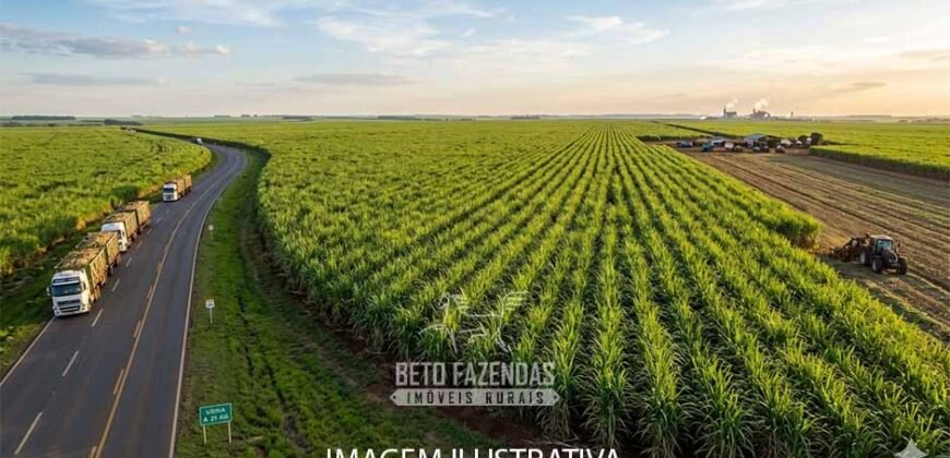 Fazenda de Cana à Venda 520 Alqueires Alta Perfomance em São Paulo