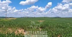 Fazenda à Venda 544 Alqueires de Alta Produtividade entre Itapira e Mogi Mirim/SP