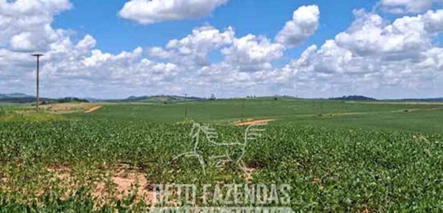 Fazenda à Venda 544 Alqueires de Alta Produtividade entre Itapira e Mogi Mirim/SP