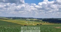 Fazenda à Venda 544 Alqueires de Alta Produtividade entre Itapira e Mogi Mirim/SP