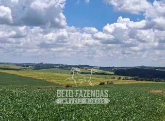 Fazenda à Venda 544 Alqueires de Alta Produtividade entre Itapira e Mogi Mirim/SP Fazenda à Venda 544 Alqueires de Alta Produtividade entre Itapira e Mogi Mirim/SP