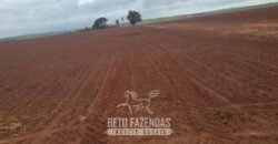 Fazenda à Venda 486 Alqueires com Logística Premium e Solo de Alta Classe | São Manuel/SP