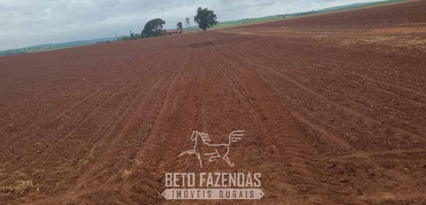 Fazenda à Venda 486 Alqueires com Logística Premium e Solo de Alta Classe | São Manuel/SP