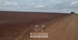 Fazenda à Venda 486 Alqueires com Logística Premium e Solo de Alta Classe | São Manuel/SP