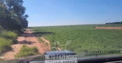 Fazenda à Venda 486 Alqueires com Logística Premium e Solo de Alta Classe | São Manuel/SP