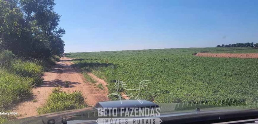 Fazenda à Venda 486 Alqueires com Logística Premium e Solo de Alta Classe | São Manuel/SP