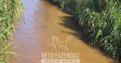 Fazenda à Venda 486 Alqueires com Logística Premium e Solo de Alta Classe | São Manuel/SP