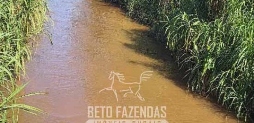 Fazenda à Venda 486 Alqueires com Logística Premium e Solo de Alta Classe | São Manuel/SP