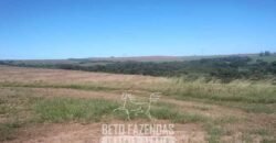 Fazenda à Venda 486 Alqueires com Logística Premium e Solo de Alta Classe | São Manuel/SP