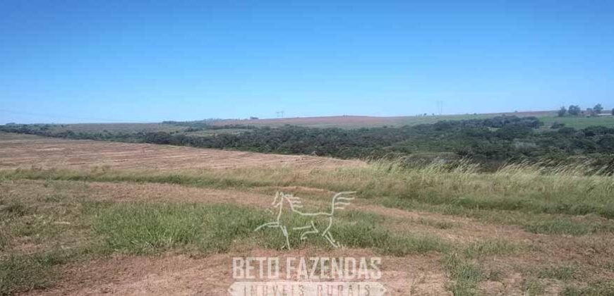 Fazenda à Venda 486 Alqueires com Logística Premium e Solo de Alta Classe | São Manuel/SP