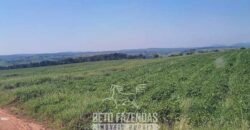 Fazenda à Venda 486 Alqueires com Logística Premium e Solo de Alta Classe | São Manuel/SP