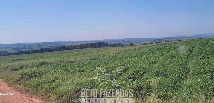 Fazenda à Venda 486 Alqueires com Logística Premium e Solo de Alta Classe | São Manuel/SP