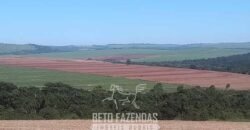 Fazenda à Venda 486 Alqueires com Logística Premium e Solo de Alta Classe | São Manuel/SP