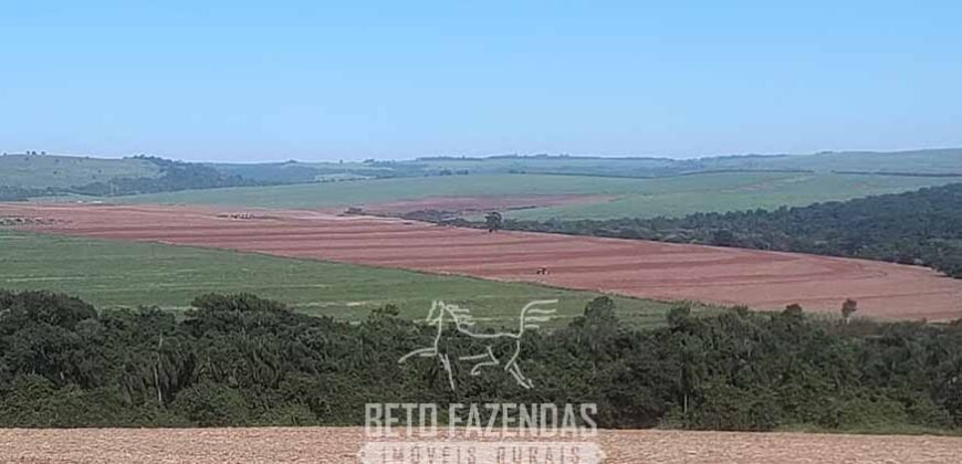 Fazenda à Venda 486 Alqueires com Logística Premium e Solo de Alta Classe | São Manuel/SP