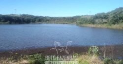 Fazenda à Venda 486 Alqueires com Logística Premium e Solo de Alta Classe | São Manuel/SP