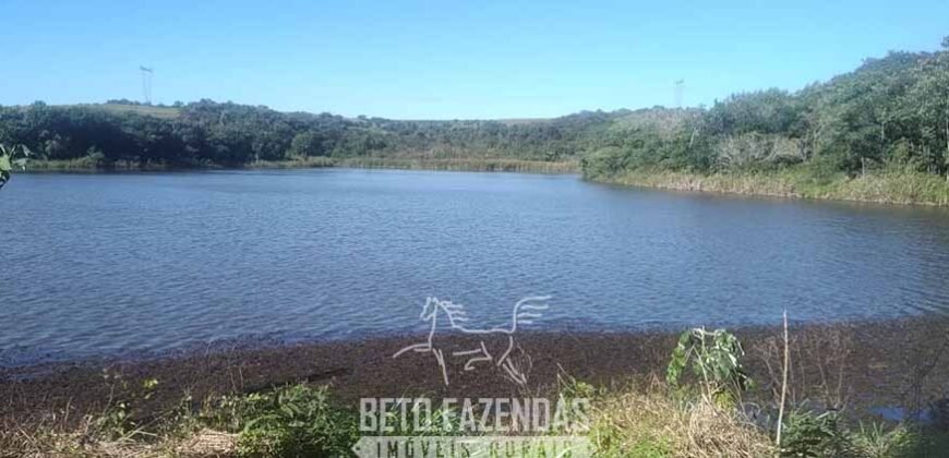 Fazenda à Venda 486 Alqueires com Logística Premium e Solo de Alta Classe | São Manuel/SP