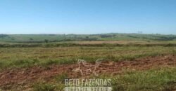 Fazenda à Venda 486 Alqueires com Logística Premium e Solo de Alta Classe | São Manuel/SP