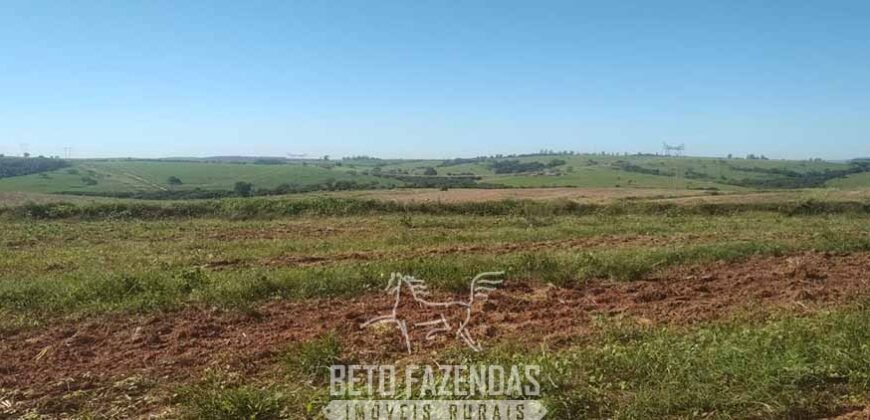 Fazenda à Venda 486 Alqueires com Logística Premium e Solo de Alta Classe | São Manuel/SP