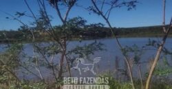 Fazenda à Venda 486 Alqueires com Logística Premium e Solo de Alta Classe | São Manuel/SP