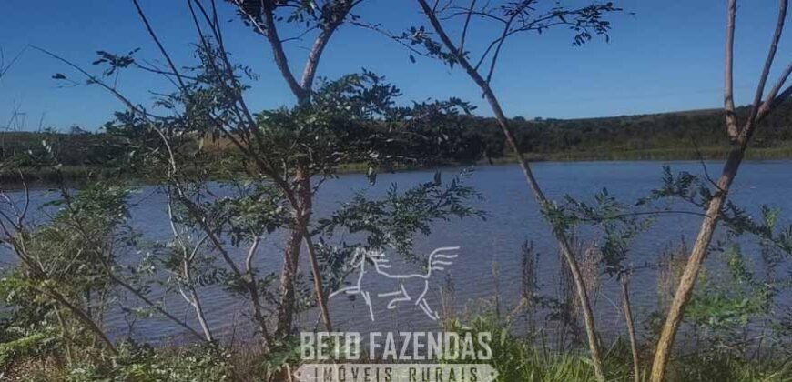 Fazenda à Venda 486 Alqueires com Logística Premium e Solo de Alta Classe | São Manuel/SP