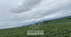 Fazenda à Venda 153 Hectares Excelete Aptidão para Café e Citricultura | Mindurim/MG