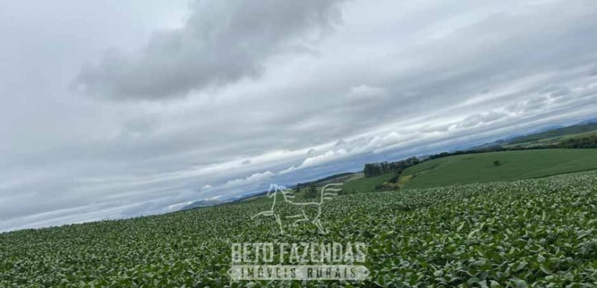 Fazenda à Venda 153 Hectares Excelete Aptidão para Café e Citricultura | Mindurim/MG