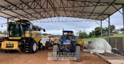 Fazenda à Venda 153 Hectares Excelete Aptidão para Café e Citricultura | Mindurim/MG