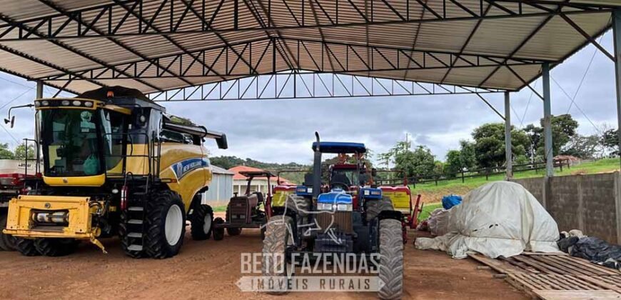 Fazenda à Venda 153 Hectares Excelete Aptidão para Café e Citricultura | Mindurim/MG