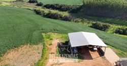 Fazenda à Venda 153 Hectares Excelete Aptidão para Café e Citricultura | Mindurim/MG