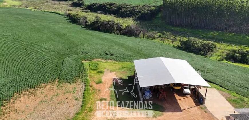 Fazenda à Venda 153 Hectares Excelete Aptidão para Café e Citricultura | Mindurim/MG