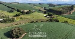 Fazenda à Venda 153 Hectares Excelete Aptidão para Café e Citricultura | Mindurim/MG