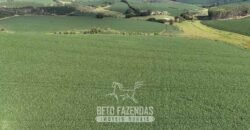 Fazenda à Venda 153 Hectares Excelete Aptidão para Café e Citricultura | Mindurim/MG
