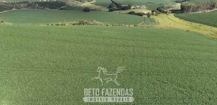 Fazenda à Venda 153 Hectares Excelete Aptidão para Café e Citricultura | Mindurim/MG