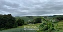 Fazenda à Venda 153 Hectares Excelete Aptidão para Café e Citricultura | Mindurim/MG