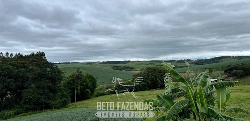 Fazenda à Venda 153 Hectares Excelete Aptidão para Café e Citricultura | Mindurim/MG